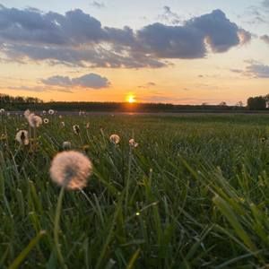 Meet your Posher, Linda